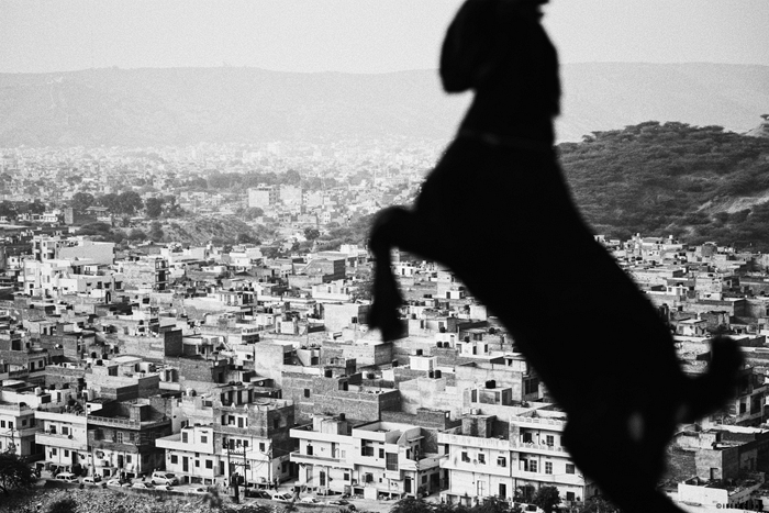 Panorama of Jaipur